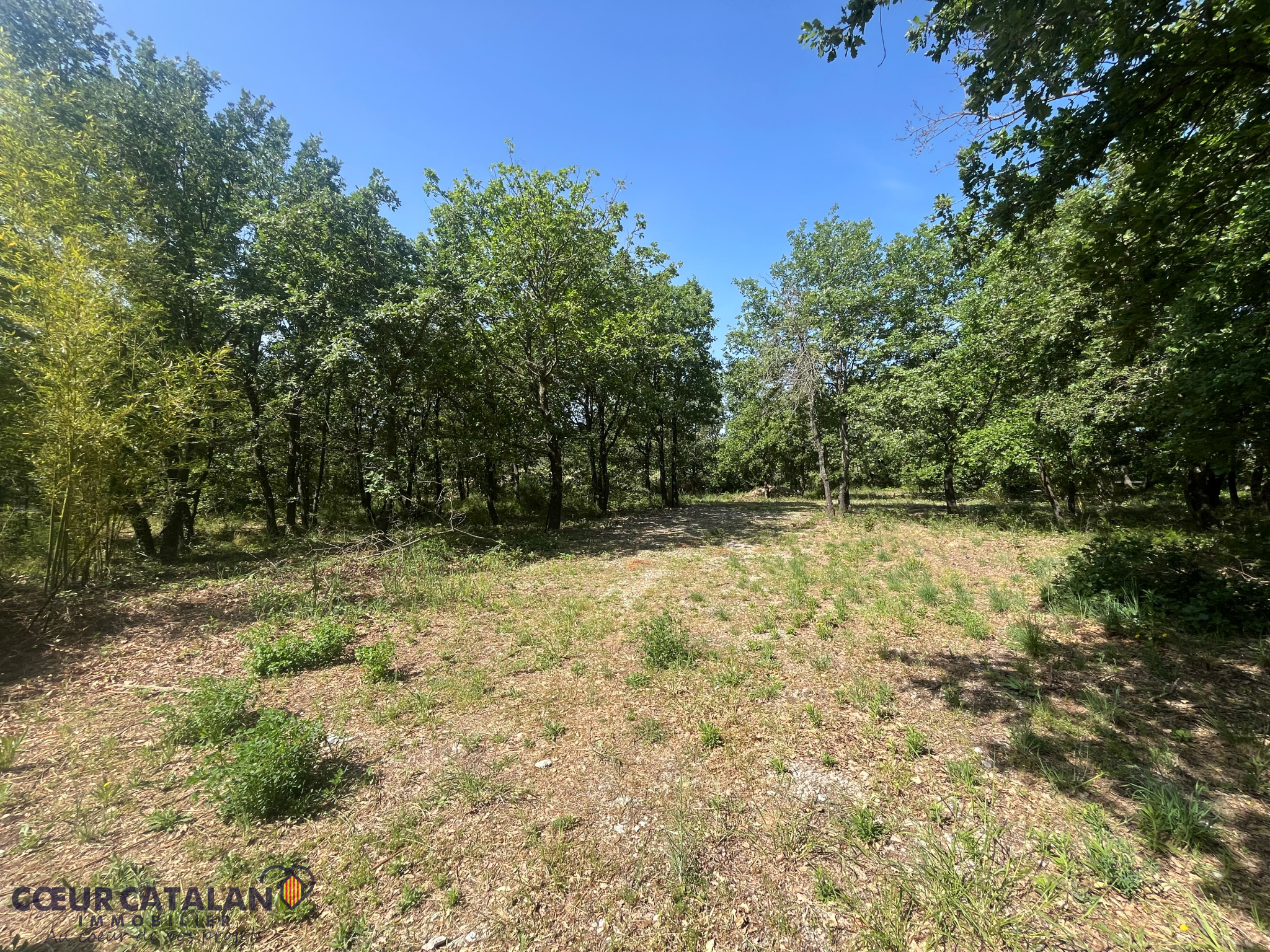 À VENDRE - PASSA- TERRAIN DE LOISIRS 2621m2